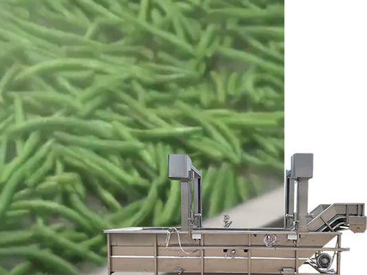 水回帰 SUS 304 ガントリーリフトタンク デザインのための野菜と果物洗濯機
