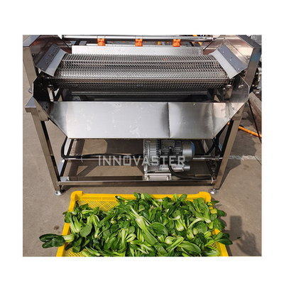 簡単に操作する 自動野菜洗浄機 果物洗浄機 ピーナッツバブル掃除機