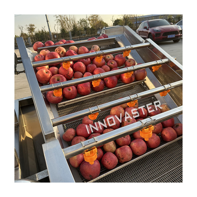 380v レストランキッチン用 双筒多機能野菜洗濯機