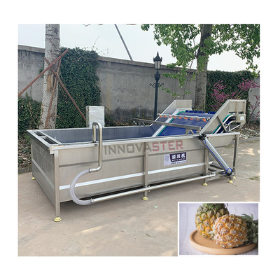 テクノロジー トマト フルーツ 洗濯機 空気泡機 野菜洗濯機