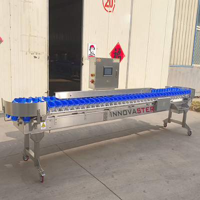 6000x1250x1750mm インテリジェント キウイフルーツの重量分類 分類のための分類機