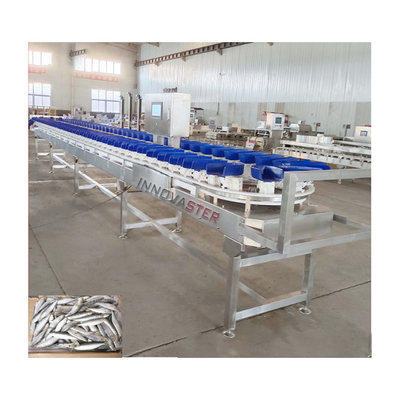6000x1250x1750mm 冷凍鶏足/翼/アバロン 重量付け機 500kg